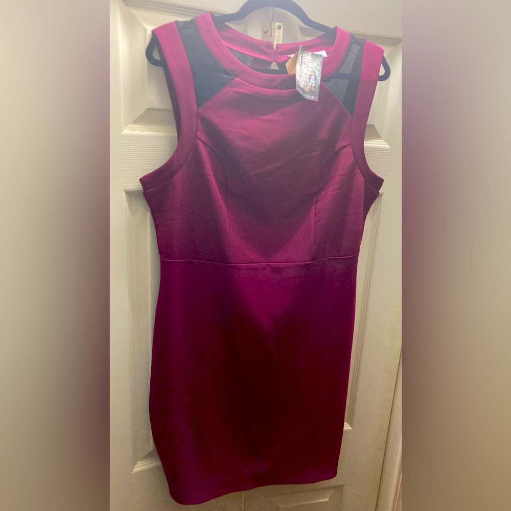 NWT Boutique Mini Dress Maroon